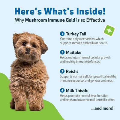 Pet Wellbeing Mushroom Immune Gold for Dogs - Complementary Immune Support with Functional Mushrooms Reishi, Maitake & Turkey Tail - NASC Certified & Vet-Formulated - 8 oz Liquid Formula