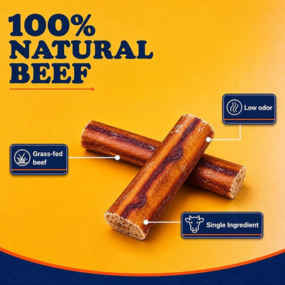 Bow Wow Labs SafeFit™ Bully Sticks for Dogs - 100% All Natural Beef Sticks, Grass-Fed, Low Odor, Long Lasting Dog Chews, Dog Chew Treats, Bully Stick for Small, Medium, Large Dogs - 6" Jumbo 10 Pack