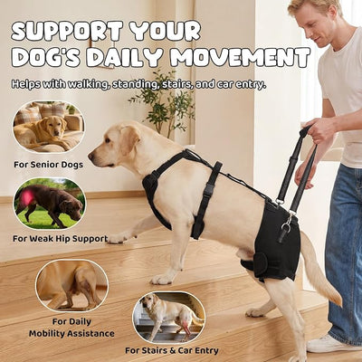 BALAPET BALAPET Dog Hip Brace Support Harness with Lift Handle, Adjustable Hip Support Brace for Large Dogs, Soft Removable Hip Pads, Mobility Assistance Harness for Walking, Stairs & Car Support(XXL)