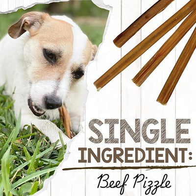 Nature Gnaws Small Bully Sticks for Dogs 5-6" (25 Count) - Long Lasting for Light Chewers and Puppies - Natural Thin Beef Dog Chew Bones - Rawhide Free