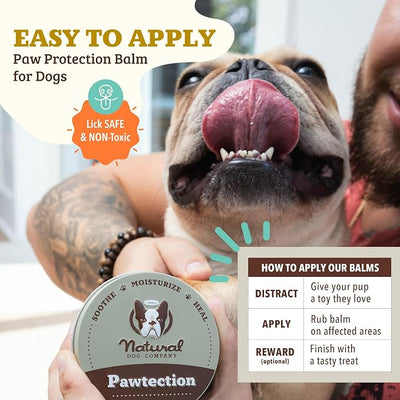 Natural Dog Company PawTection Dog Paw Wax, 1 oz Tin | Hot Pavement & Sand Protection, Waxy Barrier Balm, Non-Toxic & Lick Safe, For Summer Walks & Hiking