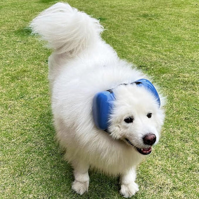 derYEP Dog Earmuffs for Hearing Protection 29dB NRR Ear Muffs Noise Protection (XLarge, White)