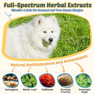 ZEBORA Dog Allergy Chews, Support Seasonal Allergies & Itch Relief, Probiotics + Omega-3 + Colostrum - for Gut & Immune Health, 120 Freeze Dried Chews