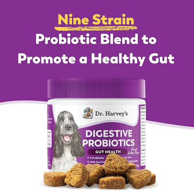 Dr. Harvey's Digestive Probiotic Soft Chews for Dogs, 9 Probiotics for Gut Health, Diarrhea and Bowel Support, Peanut Butter Flavor (90 Chews)