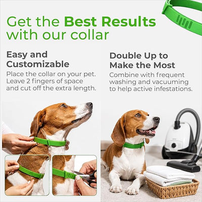 FurLife Flea and Tick Collar for Dogs – Waterproof Green Dog Collar, Pet Supplies for Tick and Flea Prevention for Dogs, Safe for All Breeds