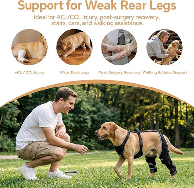 BALAPET Dog Rear Leg Brace for ACL/CCL Injury, Hinged Hind Leg Support Harness for Weak Back Legs, Torn ACL, Post-Surgery Recovery, Stairs, Car & Walking Assistance(M)