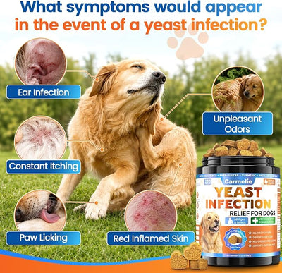 Yeast Infection Treatment for Dogs, 200 Chew Carmelie Yeast Balance Healthy Itch Relief, Ear Paw Care for Dog, Allergy Supports, Inflammation Relief for Dogs, Chinken Flavor (70 Days Supply)