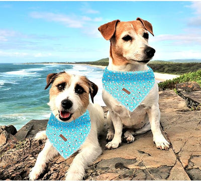 Lionheart Glory Bandana - Washable Soft Blue Scarf With Shark Print, Adjustable for Small Medium Large Dogs