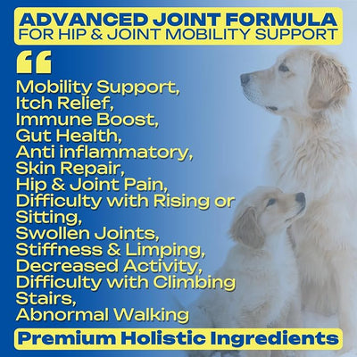 Collagen for Dogs – Hip & Joint Support + Skin & Coat – 9-in-1 Formula with Collagen Peptides, Eggshell Membrane, Hyaluronic Acid, Omega-3, Chondroitin & More – 120 Soft Chews