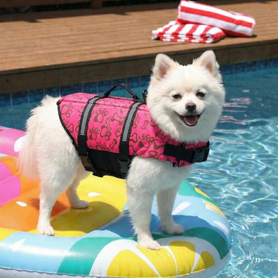 Doglay Dog Life Jacket with Rescue Handle, Dog Life Vest for Swimming Boating, Adjustable Reflective Puppy Swim Vest with Superior Buoyancy for Small Medium Large Dogs