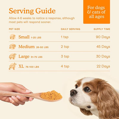 Fera Pets Cat & Dog Pumpkin Plus Fiber Supplement - Powder, 90 Scoops
