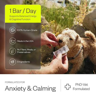 Maev Anxiety & Calming Supplement Bars for Dogs, with L-Theanine, 30 Count | Human-Grade, Vet-Formulated Chews with Colostrum | Natural Stress Relief | Made in USA