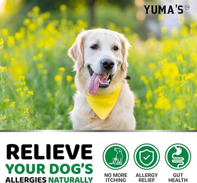Dog Allergy Relief Chews - Dog Itching Skin Relief Treatment Pills - 170 Treats - Anti-Itch - Itchy and Paw Licking - Hot Spots - Omega 3 Fish Oil - Dry Skin & Coat Supplement - Beef Liver Flavor