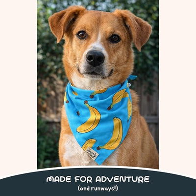 Snap-On Dog Bandana for Small Medium Large Pets, Dogs Cats Adjustable Handkerchief Scarf for Girl & Boy, Funny Cute Puppy Apparel & Accessories (Turquoise Banana, Large)