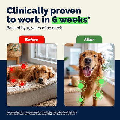 YuMOVE Adult Dog Hip & Joint Soft Chews, ActivEase Green Lipped Mussel, Glucosamine for Dogs, Hyaluronic Acid & Omega 3 - Barbecue Flavor (300ct Chews, Regular Strength)