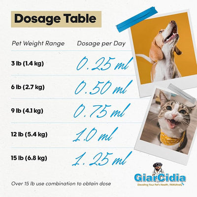 No More Tapeworms in Cats and Dogs- Dewormer for Cats and Dewormer for Dogs- USA Made Oral Suspension - Chicken Flavour with 3ml Dropper (60ml)