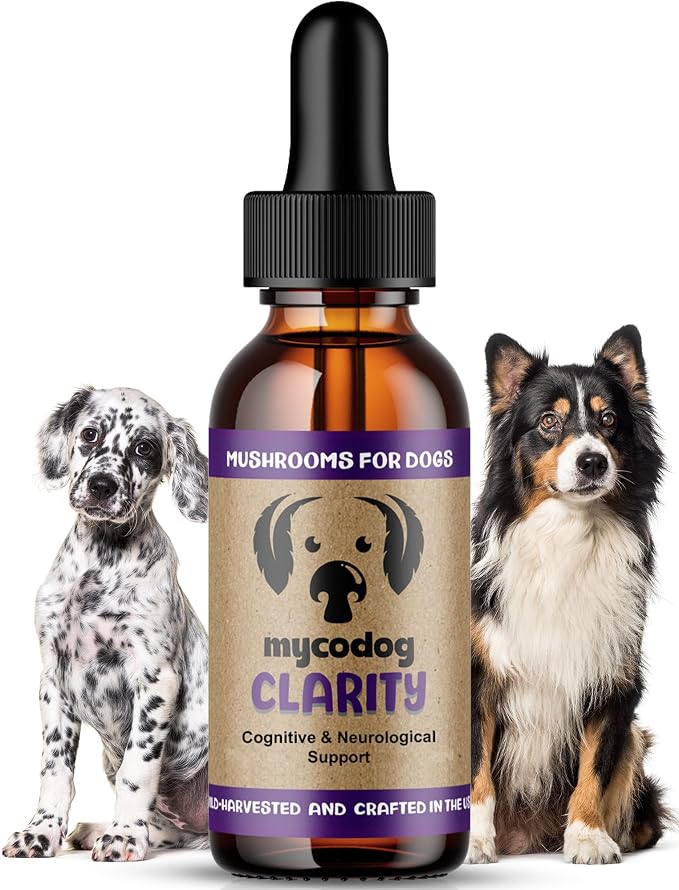 MycoDog Clarity - Cognitive Support Supplement for Dogs - Brain Health, & Senior Dog Wellness - Memory & Focus with Functional Mushrooms & Adaptogens