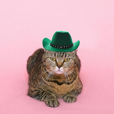 Pet Dog Costume Cowboy Hat Cosplay Cap Puppy Pet Dog Cat Holiday Pet Party Decoration (Green)