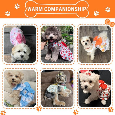 TAPBULL Dog Dresses, Fashionable Pet Dog Clothes, Cute Cat Birthday Dress Outfit (Orange/Red/Yellow/Blue/Pink 5-Pack), Medium