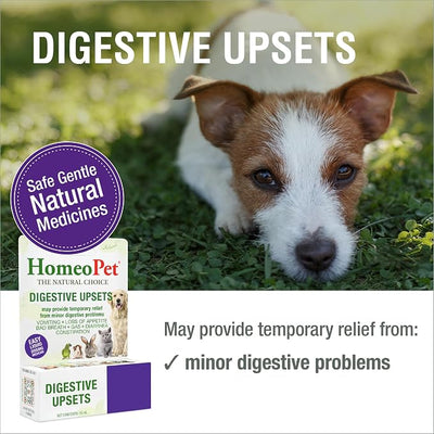 HomeoPet Digestive Upsets, Safe, Gentle, and Natural Dog and Cat Digestive Support, 15 Milliliters