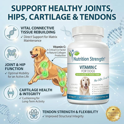 Vitamin C for Dogs to Support Cardiovascular Health, Help Strengthen the Immune System, Boost Free Radical Defenses and Sustain Collagen Synthesis, 120 Chewable Tablets