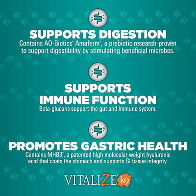 Vitalize Alimend K9, 6 Oz - Dog Upset Stomach Supplement for Nausea, Vomiting & Diarrhea - Natural for Small Dogs - Supports Digestion, Immunity & Gastric Health - Safe for Daily Use