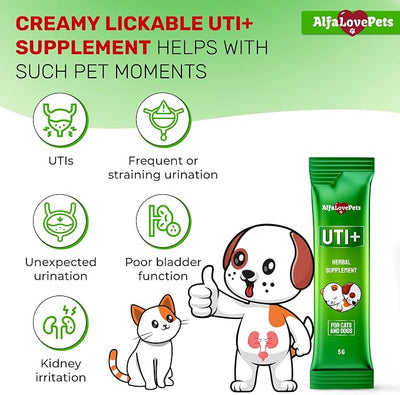 Cat UTI Treatment for Frequent Urination, Bladder & Kidney Irritation – Squeezable Dog UTI Treatment for Natural Care – Creamy UTI+ Cranberry Supplement for Dogs with Chicken Flavor – 10 Sticks x 5 g