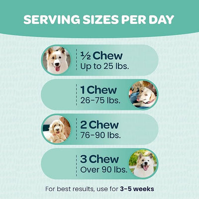Immunity Boosting Dog Allergy Chews | Delicious and Soothing Hot Spot & Dog Itch Relief Chew for Seasonal Allergy Relief with Probiotics ACV Alaskan Salmon Oil & Colostrum for Dogs | 90 Chews