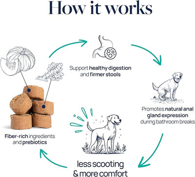 Veterinary Formula Anal Gland Support for Dogs – Vet-Formulated No Scoot Chews with Pumpkin, Ginger, Agave Inulin & Probiotics – Supports Scooting, Stool Quality & Digestive Health, 60 Soft Chews