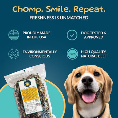 TREATOPIA Beef Lung Nuggies Dog Treats, 1 LB Bag - All-Natural, Sustainable, Healthy, High Protein, Hand-Trimmed, Slow-Roasted, Made in The USA, Nutritious, No Additives, No Fillers