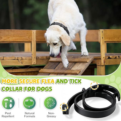 Flea and Tick Collar for Dogs, Dog Collars with Natural Essential Oils Waterproof Adjustable Size for Small Medium and Large Dog Flea Prevention and Tick Control for Pets (4 Pieces,Gray, Black)