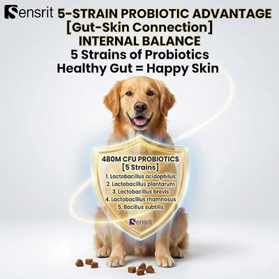 Allergy Relief Immune Supplement for Dogs - with 480M CFU Probiotics, Colostrum & Salmon Oil - Soft Chews for Seasonal Itch, Hot Spots & Paw Licking - 90 Chicken Flavored Treats