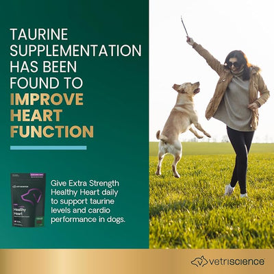 VetriScience Extra Strength Healthy Heart Chews, Vetri Cardio Supplement for Dogs, Cardio Support Supplement with Taurine, Carnitine, CoQ10, and Hawthorn, Chicken, 60 Count
