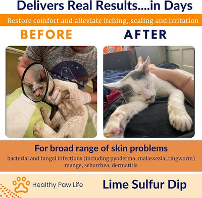 Lime Sulfur Dip – Concentrated Antimicrobial & Antiparasitic Solution for Itchy Skin, Mange, Ringworm & Dermatitis – Safe for Dogs, Cats, Puppies, Kittens, Horses, and Livestock (16 oz)
