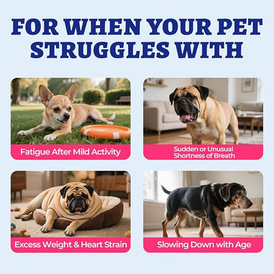 Wellix 19.4oz Cardio Taurine & CoQ10 for Dogs - Heart Supplements for Dog Chews with Fish Oil, L-Carnitine - Senior Heart Health and Cardiovascular & Antioxidant Support