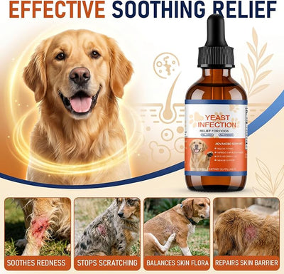 Natural Yeast Infection Treatment for Dogs - Bacon Flavor Yeast Relief Drops for Itchy Ears, Skin, Paws & Allergies - Supports Gut & Immune Health, Reduces Irritation - 60ml