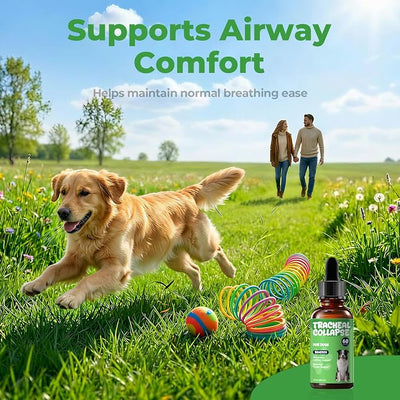 Dog Cough Relief - Collapsed Trachea Treatment for Dogs - Throat Calm Herbal Drops with Slippery Elm & Mullein - Trachea Supplement for Coughing & Airway Comfort