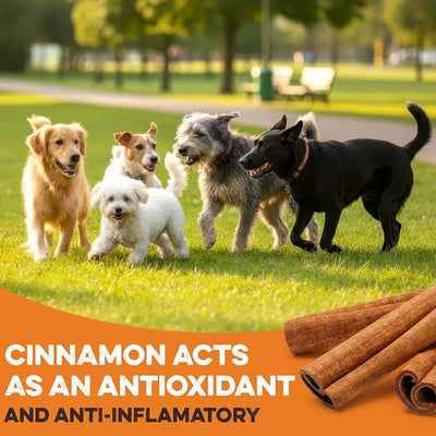 BRUTUS & BARNABY USA Sweet Potato Dog Treats - Crunchy Grain Free Cinnamon Apple Sticks, Promotes Positive Gut Health with Natural Anti-Diarrhea Properties (Cinnamon & Apple, 2 lb)