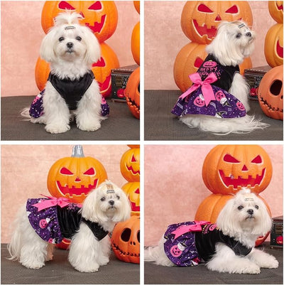CuteBone Halloween Dog Dresses Velvet Holiday Small Dogs Clothes Onesie Pet Apparel Girl Puppy Skirt with Bow Hair Rope CVA60XS-D