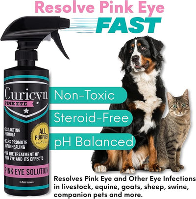 Curicyn Pink Eye Solution - 16oz, Extra Strength Formula Conjunctivitis Eye Drops for Dogs, Cats, Livestock and Horses – Pain Free, Non-Steroidal Dog Eye Wash with Purified Anolyte -