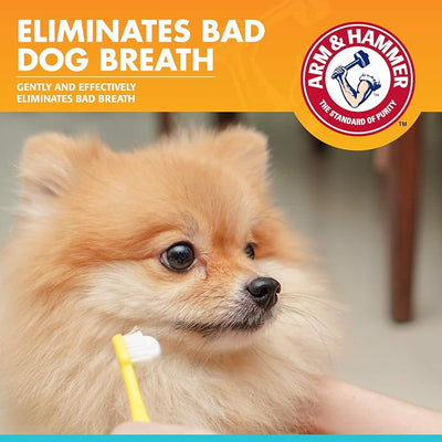 Arm & Hammer for Pets Fresh Breath Enzymatic Dog Toothpaste Chicken Flavor Baking Soda Dental Gel Eliminates Bad Breath Safe Puppies Adult Dogs Daily 2.5 OZ 72 Pack for Dogs Complete Oral Care