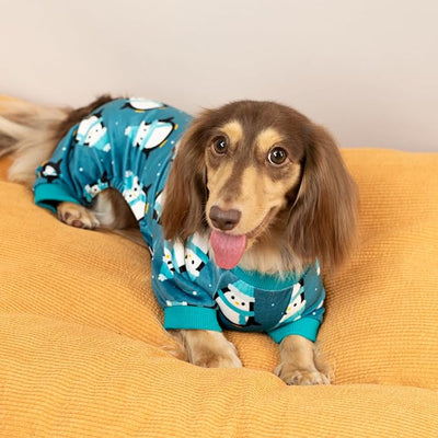 Fitwarm Cute Penguin Dog Pajamas, Dog Winter Clothes for Small Dogs Girl Boy, Cozy Dog Onesie, Soft Pet Jammies, Doggy Apparel, Teal Blue, Large