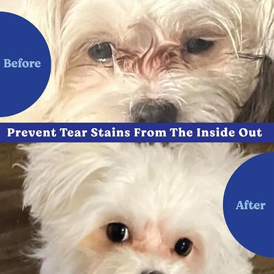 Angels' Eyes Natural Tear Stain Prevention Soft Chews for Dogs | Chicken Flavor | 90 Count | Daily Supplement for All Breeds | No Wheat or Corn | Cranberry, Eyebright & Marshmallow Root | NASC Seal