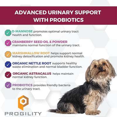 Nootie Progility Mini Urinary Support Supplement for Dogs, Bladder Support and Urinary Tract Support for Dogs with Cranberry and D-Mannose, 60 Soft Chews per Container