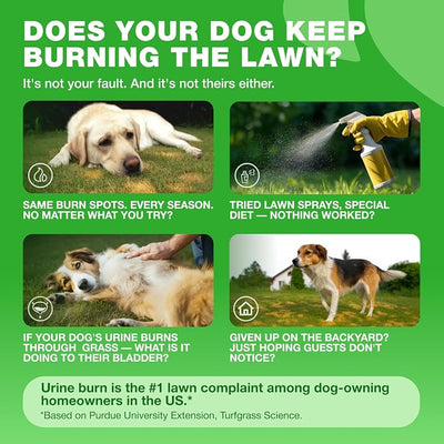 Grass Burn Spot Chews for Dogs - Urine Neutralizer for Lawn - Pee Lawn Spot Saver Caused by Urine - Probiotics, Enzymes & Multivitamins - Grass Saver Soft Treats for Canine Digestive and UTI Support