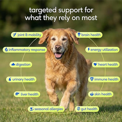 Native Pet Senior Daily Dog Vitamins & Supplements – 12-in-1 Dog Multivitamin Powder for Senior Dogs – Supports Mobility, Cognition, Digestion, Immune Health & More – 30 Scoops