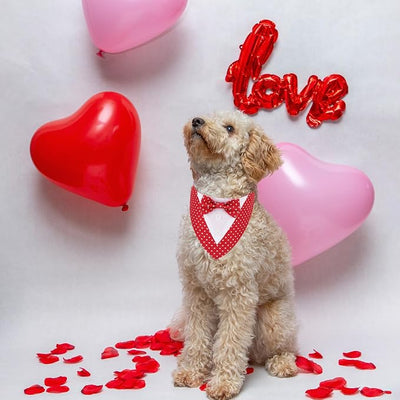ADOGGYGO Valentine Dog Tuxedo Bandana, Red Heart Pet Tux with Bowtie Adjustable Valentine Costume for Extra Small Dogs Cats (XS)