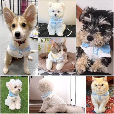 Dog Tshirts for Small Dogs Polo Shirt Stretchy Dog T Shirt Breathable Dogs Cooling Vest Sweatshirts Girl Boy Puppy Dachshund French Bulldog Frenchie Chihuahua Pet Clothes