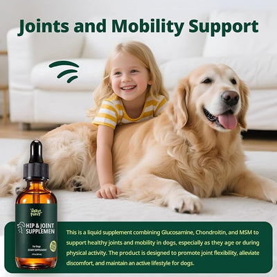 Hip & Joint Supplement for Dogs, Liquid Glucosamine Chondroitin for Dogs with MSM, Hyaluronic Acid & Collagen – Dog Joint Supplement for Mobility, Hip Support & Flexibility – Chicken Flavor, 60 mL