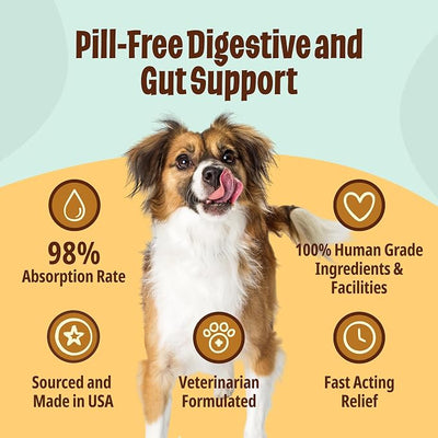 Licks Dog Digestion - Gut Health, Nutrient Absorption & Food Transition Support for Dogs - Digestive Enzymes with Bromelain - Pill-Free Liquid Packets - 30 Packets